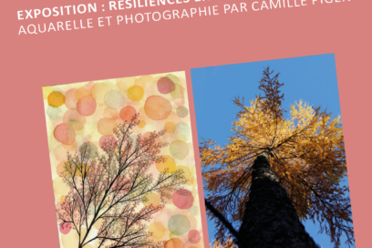 Agrandir l'image, fenêtre modale