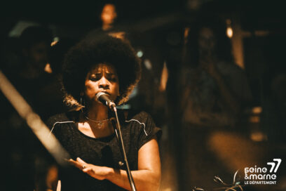 Agrandir l'image, fenêtre modale