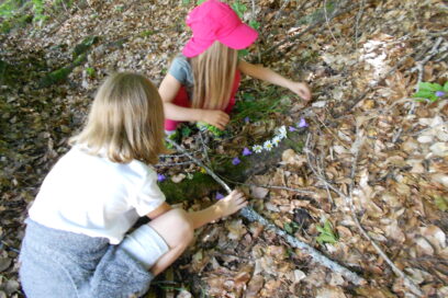 Agrandir l'image, fenêtre modale