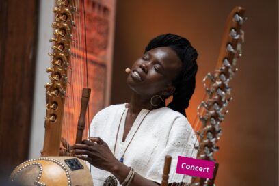 Agrandir l'image, fenêtre modale