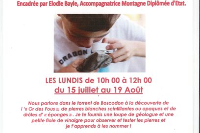 Agrandir l'image, fenêtre modale