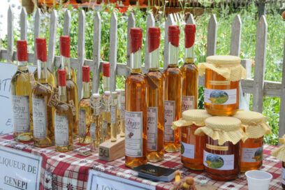 Agrandir l'image, fenêtre modale