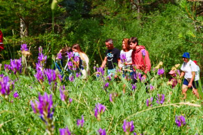 Agrandir l'image, fenêtre modale