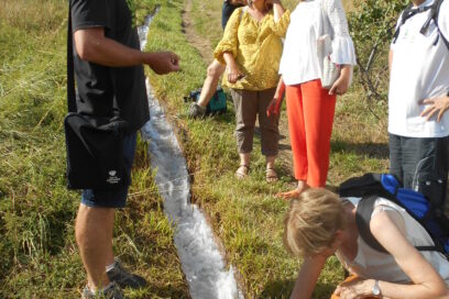 Agrandir l'image, fenêtre modale