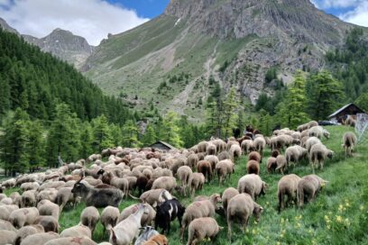 Agrandir l'image, fenêtre modale