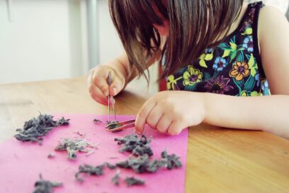 Agrandir l'image, fenêtre modale