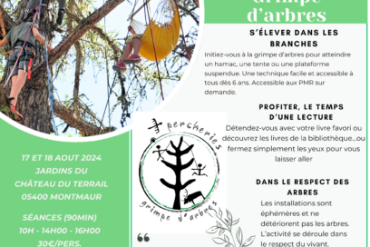 Agrandir l'image, fenêtre modale