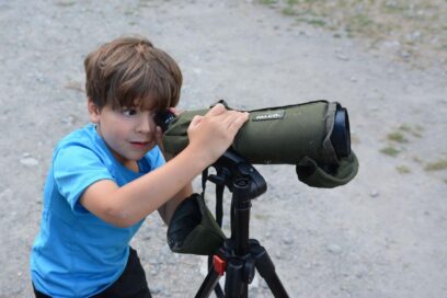 Agrandir l'image, fenêtre modale