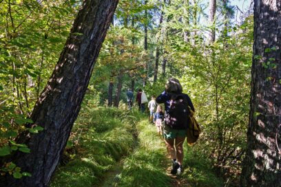 Agrandir l'image, fenêtre modale
