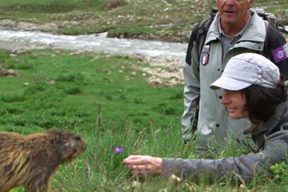 Agrandir l'image, fenêtre modale