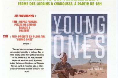 Agrandir l'image, fenêtre modale