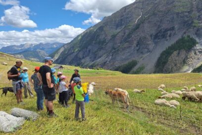 Agrandir l'image, fenêtre modale