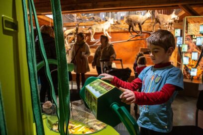 Agrandir l'image, fenêtre modale