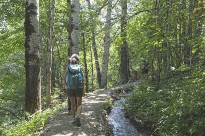 Agrandir l'image, fenêtre modale