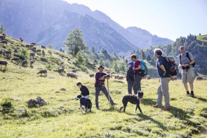 Agrandir l'image, fenêtre modale
