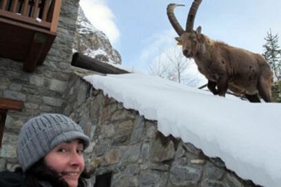 Agrandir l'image, fenêtre modale