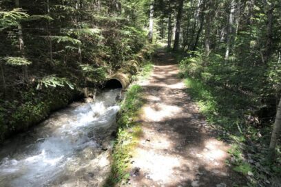 Agrandir l'image, fenêtre modale