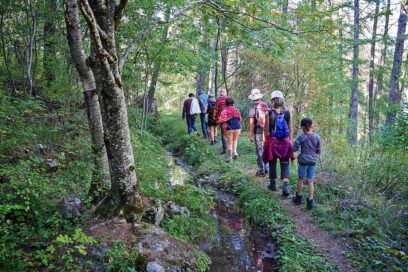Agrandir l'image, fenêtre modale