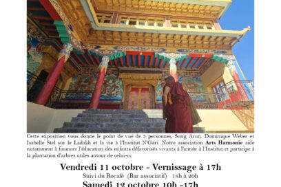 Agrandir l'image, fenêtre modale