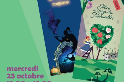 Agrandir l'image, fenêtre modale