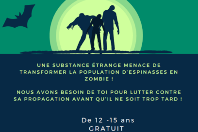 Agrandir l'image, fenêtre modale