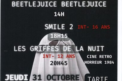 Agrandir l'image, fenêtre modale