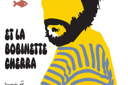 Agrandir l'image, fenêtre modale