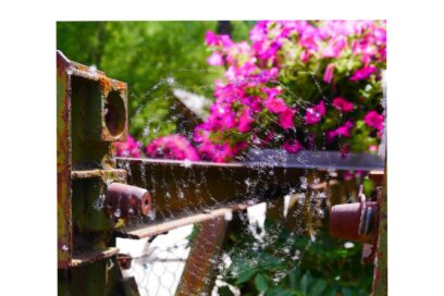 Agrandir l'image, fenêtre modale