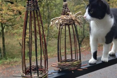 Agrandir l'image, fenêtre modale