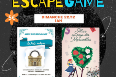 Agrandir l'image, fenêtre modale