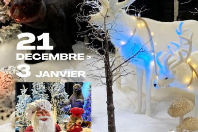 Agrandir l'image, fenêtre modale