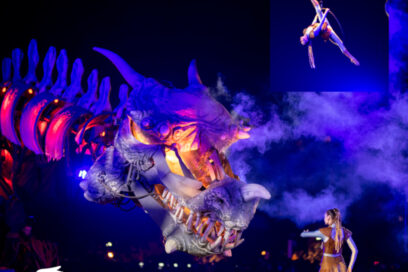 Agrandir l'image, fenêtre modale