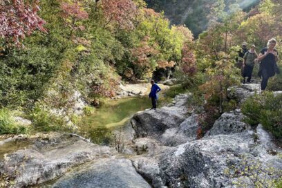 Agrandir l'image, fenêtre modale