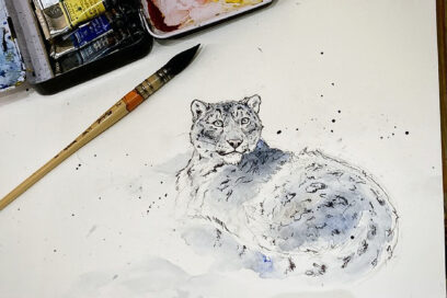 Agrandir l'image, fenêtre modale