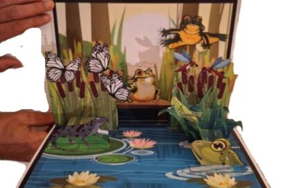 Agrandir l'image, fenêtre modale