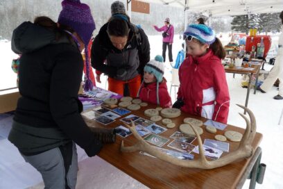 Agrandir l'image, fenêtre modale