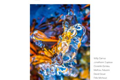 Agrandir l'image, fenêtre modale