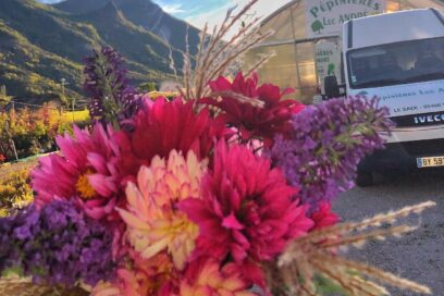 Agrandir l'image, fenêtre modale