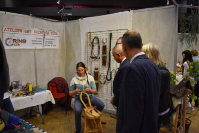 Agrandir l'image, fenêtre modale