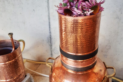 Agrandir l'image, fenêtre modale