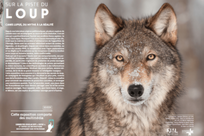 Agrandir l'image, fenêtre modale