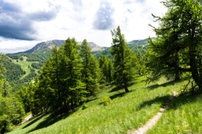 Agrandir l'image, fenêtre modale