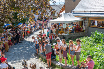 Agrandir l'image, fenêtre modale