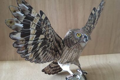 Agrandir l'image, fenêtre modale