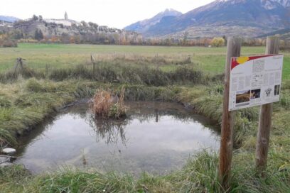 Agrandir l'image, fenêtre modale