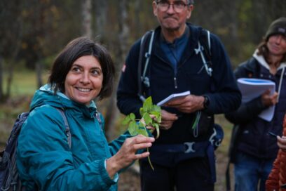 Agrandir l'image, fenêtre modale