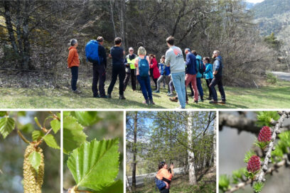 Agrandir l'image, fenêtre modale