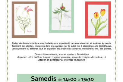 Agrandir l'image, fenêtre modale