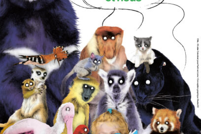 Agrandir l'image, fenêtre modale