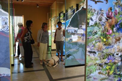 Agrandir l'image, fenêtre modale